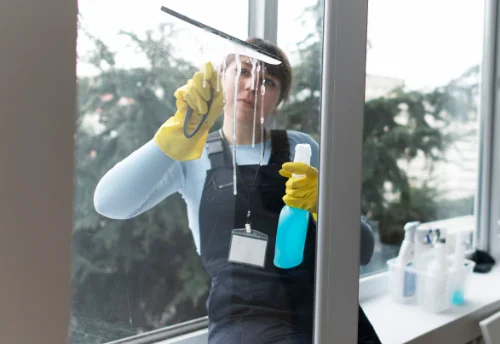 Nettoyage de vitres intérieures et extérieures à Chauffourt